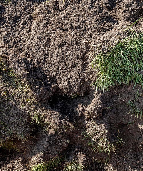 Erdmaterial aus Baugruben in Containern für die Wiederverfüllung oder Entsorgung